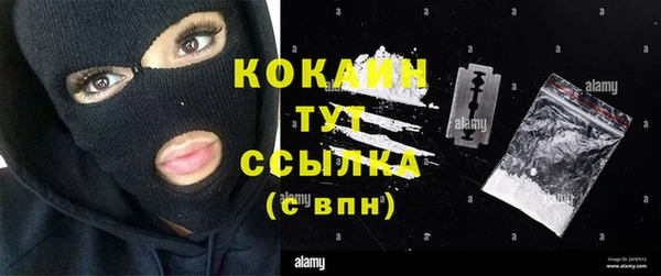 мдпв Горняк